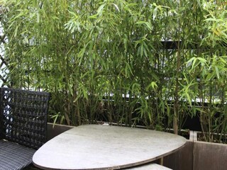 Appartement Paris  3