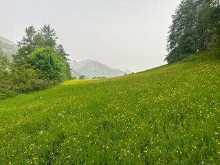 Appartamento Uvernet-Fours Ambiente 13