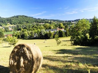 Apartment Montignac  3