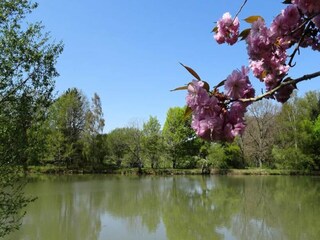 Apartamento La Jonchère-Saint-Maurice  3