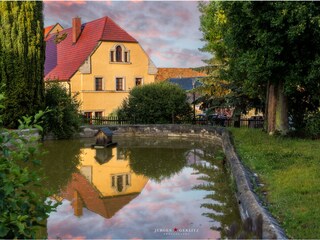 Ferienhaus Hamburg Außenaufnahme 6