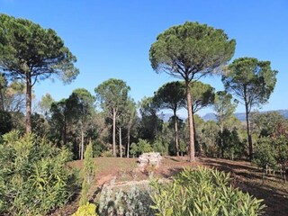 Apartment Bagnols-en-Forêt  17