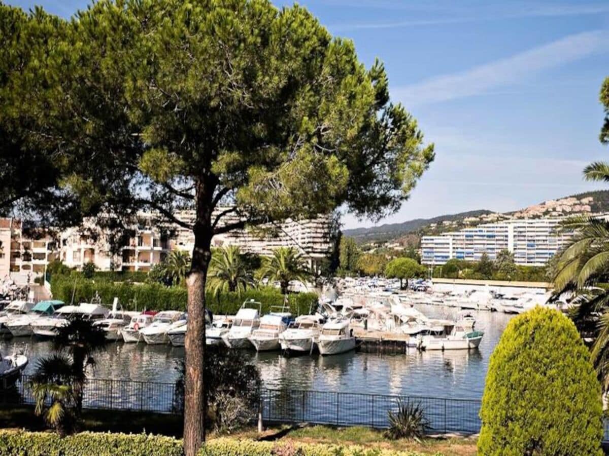 Apartment Cannes  1