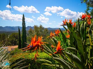 Apartamento Bagnols-en-Forêt  4