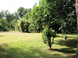 Apartment Nouic  6