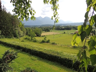 Blick zu den Bergen