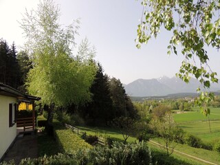 Blick ins Grüne