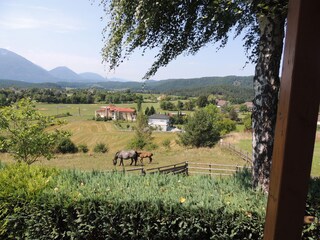 Vakantiehuis Grabelsdorf Omgeving 11