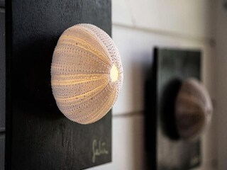 Apartamento Le Moule  13