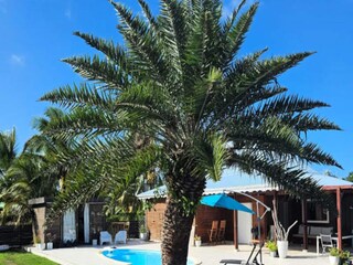 Appartement Le Moule  25