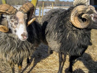 Holiday house Welt Outdoor Recording 1