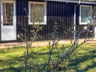 Holiday park Læsø  14