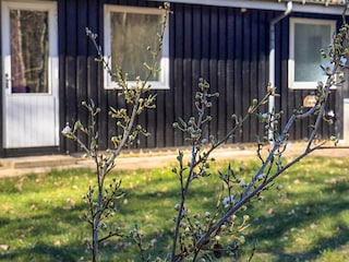 Vakantiepark Læsø  14