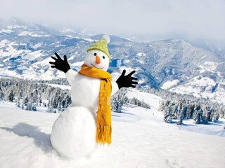 Vakantiepark St. Lorenzen ob Murau Omgeving 14