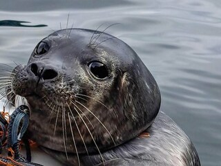 Vakantiehuis Welt  44