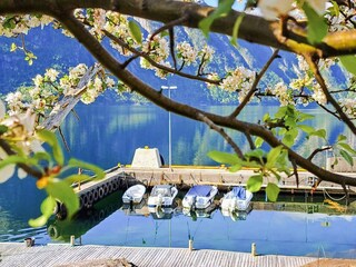 Vakantiehuis Welt  55