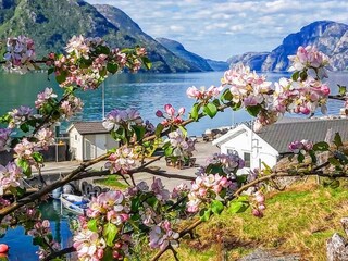 Vakantiehuis Welt  51