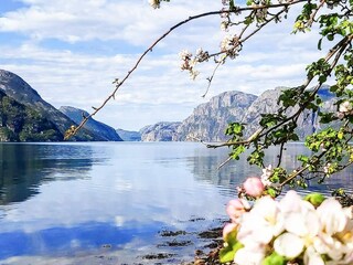 Vakantiehuis Welt  25