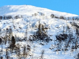 Vakantiehuis Welt  17