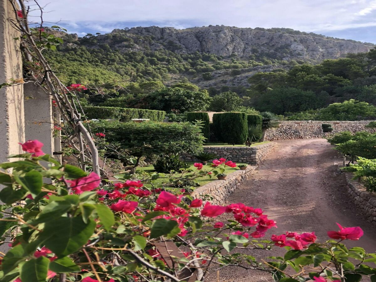 Villa Port de Sóller Außenaufnahme 8