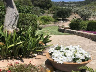 Villa Port de Sóller Enregistrement extérieur 11