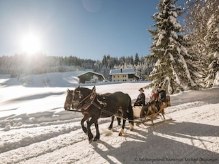 Ferienpark St. Martin am Tennengebirge Umgebung 35