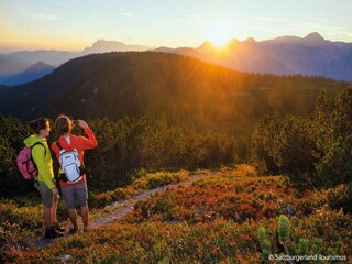 Vakantiepark St. Martin am Tennengebirge Omgeving 34