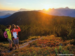 Holiday park St. Martin am Tennengebirge Environment 39