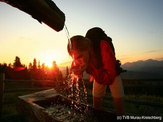 Chalet St. Lorenzen ob Murau Omgeving 26