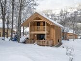 Vakantiepark St. Lorenzen ob Murau Buitenaudio-opname 1