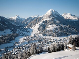 Appartement Kirchberg in Tirol  25