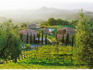 Casa per le vacanze Montecatini Val di Cecina Ambiente 10