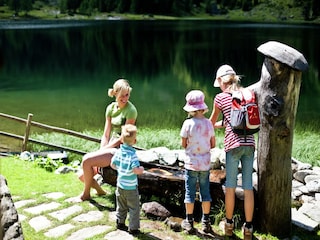 Parc de vacances St. Lorenzen ob Murau Environnement 22