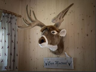 Parque de vacaciones St. Lorenzen ob Murau  35