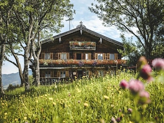 Apartment Westendorf Environment 23