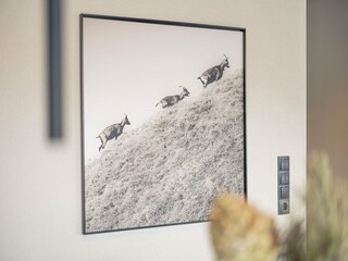 Appartement Westendorf Kenmerken 9