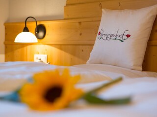 Appartamento per vacanze Innichen Caratteristiche 12