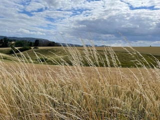 Vakantiehuis Lichtenhain Omgeving 49