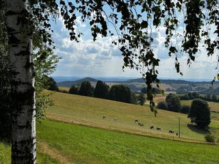 Casa per le vacanze Lichtenhain Ambiente 33