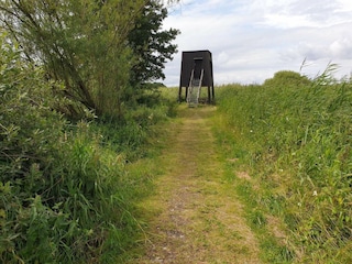 Ferienhaus Ebeltoft  26