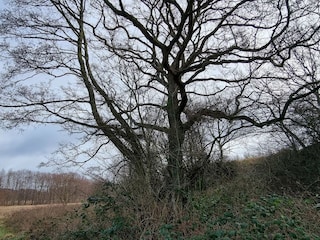 Ferienhaus Ebeltoft  30