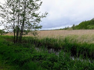 Casa per le vacanze Ebeltoft  13