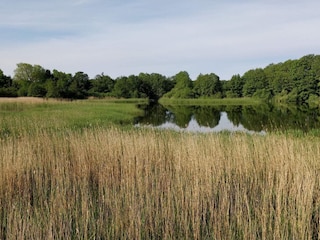 Ferienhaus Ebeltoft  18