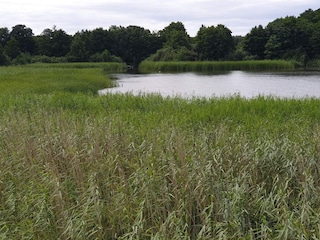 Vakantiehuis Ebeltoft  41