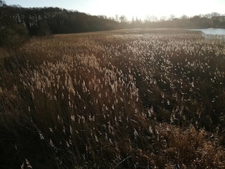 Holiday house Ebeltoft  15