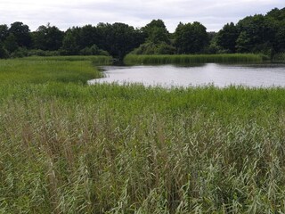 Vakantiehuis Ebeltoft  30