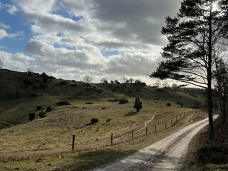 Vakantiehuis Knebel  30