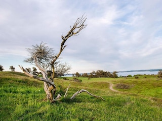 Vakantiehuis Knebel  39