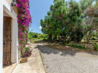 Villa Felanitx Buitenaudio-opname 4