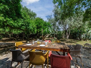 Villa Felanitx  65